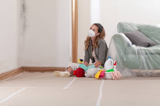 Reliable Mold Remediation contractor in Victoria, VA by 24 Hour Mold Removal
